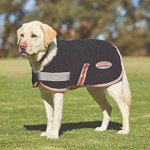 Manteau Weatherbeeta Therapy Tec chien 30cm noir argent