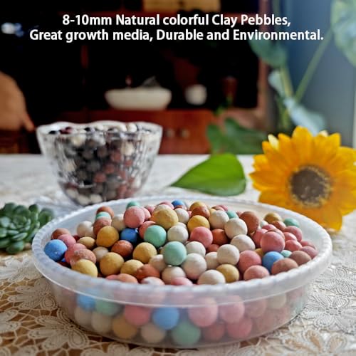 Image of Colorful Leca Clay Pebbles 2LBS for Plants 8-10mm Natural Organic Leca Balls Indoor Potting Garden Soil for Orchid, Succulents, Hydroponics, Decoration, Drainage (Colorful-2, 2 lbs)