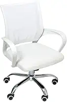 Cadeira de Escritório Begonia Tela Mesh Ergonômica Branco