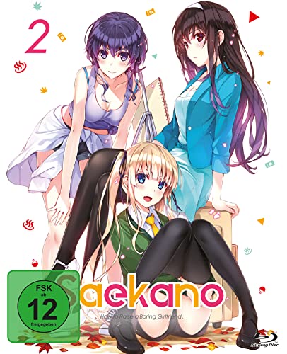 Saekano Staffel 1 Vol.2 para tus tardes de maratón de anime 3