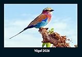 Photo Gallery vögel 2026 fotokalender din a4: monatskalender mit bild-motiven von haustieren, bauernhof, wilden tieren und raubtieren Photo Gallery vögel 2026 fotokalender din a4: monatskalender mit bild-motiven von haustieren, bauernhof, wilden tieren und raubtieren