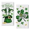 Seliem Happy St Patricks Day Top Hat Shamrock Kitchen Dish Towel Set of 2 Lucky You Clover Hand Towel Green Buffalo Plaid Drying Baking Cooking Cloth Irish Spring Home Kitchen Decor 18×26 Inches