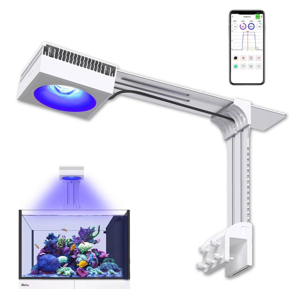 PopBloom RL90 LED Aquarium LED Beleuchtung Weiß, Vollspektrum Aquarium Lampe, Salzwasser Aquarien Licht mit App-Steuerung, für Korallen, Riffe 60cm Marine Coral Tank (RL90 Salzwasser)