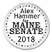 Alex Hammer for Maine Senate 2018-3