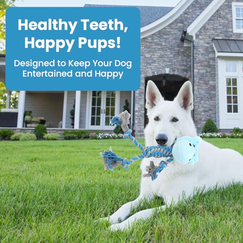 MYPETSTOCK® Plüschtier für Hunde, interaktives Spielzeug mit Seil und Squeak