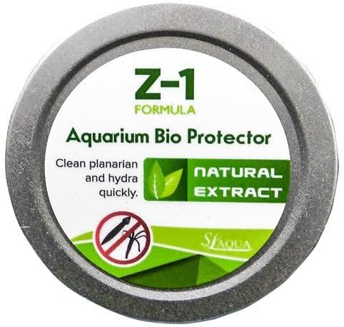Z-1