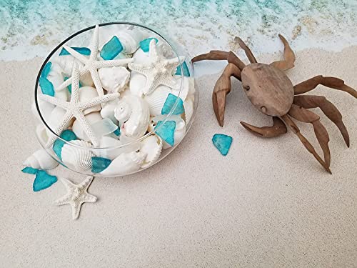 Tumbler Home White Sea Shell Mix With Aqua Sea Glass | Set Contains 1 1/2 Lbs Of Shells And Sea Glass| Beach Decor, Crafts, Wedding, Vase Filler #TOP5