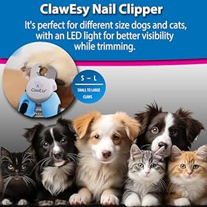 Dog-Nail-Clipper-with-Ultra-Bright-LED-Light-for-Bloodline-Stainless-Steel-Pet-Nail-Trimmer-with-Safety-Guard-Ergonomic-Handle-Free-Nail-File-for-Smooth-Easy-Grooming-dogs-and-catsBlue - Cucciolini Doodles   Dog-Nail-Clipper-with-Ultra-Bright-LED-Light-for-Bloodline-Stainless-Steel-Pet-Nail-Trimmer-with-Safety-Guard-Ergonomic-Handle-Free-Nail-File-for-Smooth-Easy-Grooming-dogs-and-catsBlue