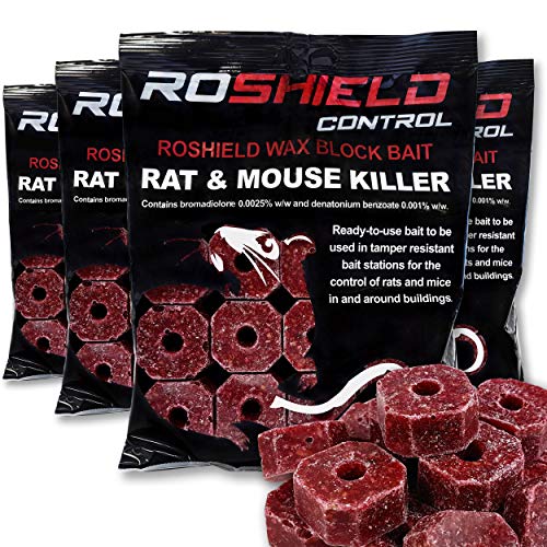 Top 10 Rat Lab Blocks of 2023 Best Reviews Guide