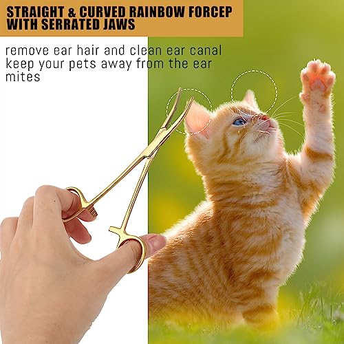 Image of BBTO Hemostat Curved and Straight Hemostat Forceps Piercing Pliers Forceps, Stainless Steel Straight and Curved Pliers, Fishing Tweezer(Gold,2 Pcs)