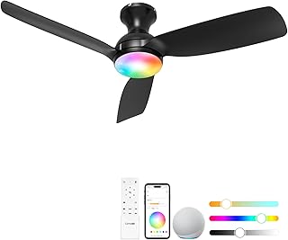 Consciot Smart Ceiling Fan