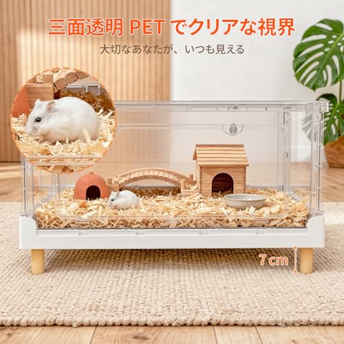 Amazon.co.jp: Ruexue