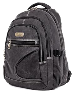 Aoking Canvas Rucksack, Laptop-Rucksack bis 16 Zoll, 5 Fächer, Unisex, Business & Freizeit, 50x38x19 cm (Anthrazit)