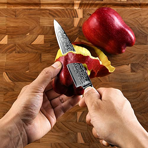 [6-Inch]Utility Paring Knife Fanteck Chef Knife Damascus Stainless Steel Vg10 Pro Razor Sharp Blade High Carbon 67-Layer Kitchen Cutlery Cutting Fruit Utility Knife Gift Box-Ergonomic Pakkawood Handle #TOP2