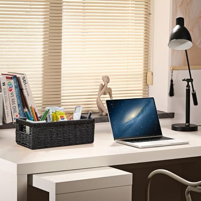 Vagusicc Wicker Storage Basket, Paper Rope Wicker Baskets with Handles, Toilet Paper Basket for Toilet Tank Top, Small Wicke Baskets for Organizing Shelves, 2-Pack, Black