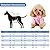 Dog Hoodie, Dog Clothes Sweater Dog Jumpsuit Fleece Sweatshirt Dog Outfit Dog Winter Clothes Cotton Puppy Hoodies for Small Medium Large Dogs Cats Apparel