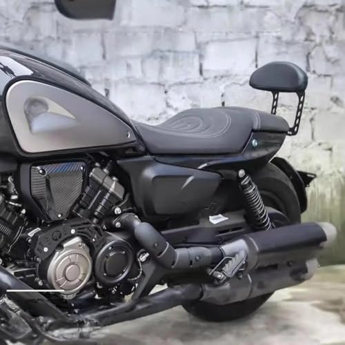 Coussin passager SRV600 QJMOTOR avec dossier et sissy bar de modification - 5