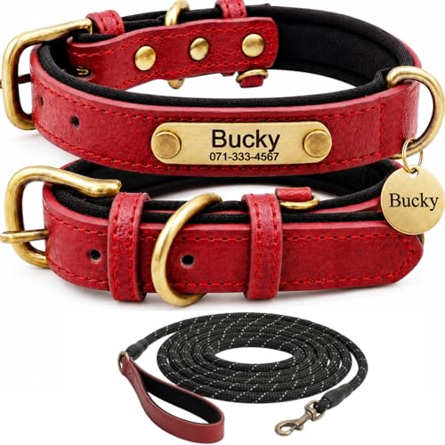 Collare per Cani in Vera Pelle Personalizzato con Incisione Nomi Collare con Design Morbido Imbottito Regolabile e Durevole per Cani di Piccola, Media e Grande Taglia Set di Guinzaglio Personalizzato