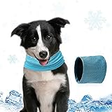 bufanda para perros pirotecnia 🐕 Enfríe rápidamente: Simplemente sumerja el pañuelo en agua por un tiempo, sáquelo y escúrralo y podrá usarlo directamente para su mascota. El pañuelo enfriamiento perros puede enfriar a su mascota. Si se puede poner en el refrigerador durante 10 minutos antes sacándolo, el efecto de enfriamiento será aún mejor.