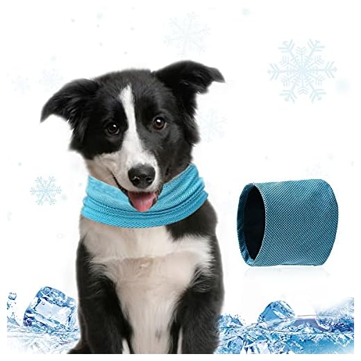 Pañuelo Enfriamiento Perros, Collar Refrigerante Perro, Collar Refrigerante para Mascotas, Pañuelo Enfriamiento Perros con Orificio para Correa Mascota Verano Sensación Fría Bufanda (L)
