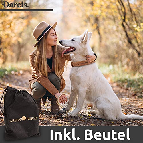 Darcis Hundehalsband Braun - Extrem Robustes Lederhalsband aus hochwertigem Rindsleder - Ideal für Starke Hunde - Halsband Hund - Hundehalsband Leder - Lederhalsband Hund - 55-62,5 cm Halsumfang