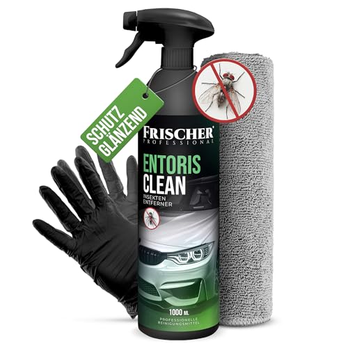 Fischer Proffesional insetticida