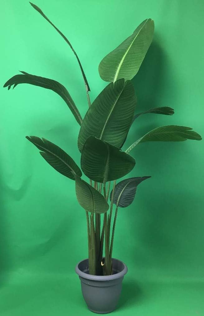 Artificial Bird of Paradise Silk Palm Tree Potted Plant 5
