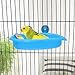 Wontee Bird Bath Box with Mirror Portable Parrot Hanging Bathroom Bathing Tub for Small Birds Cleaning Supplies