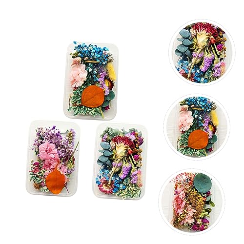 Flores Secas Realistas para Manualidades miniatura 6