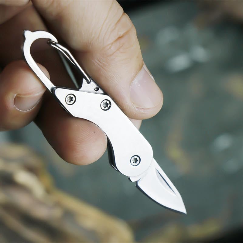 Image of CAPMORA Mini Folding Utility Tool Keychain, Metal, with Carabiner Clip, Compact Everyday Carry for Package Opening and Outdoor Use (SILVER LOCK)