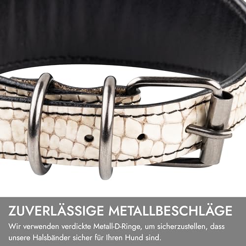 FAVPET Luxus Echtleder Windhund Halsband Breit mit QR Code Anhänger, Weiches Lederhalsband Hund Breit Whippet Italienisches Windspiel Saluki Lurcher Spanischer Galgo Greyhound Podenco (Beige, M)