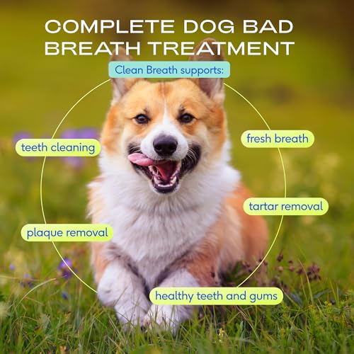 Image of Native Pet Clean Breath Dog Dental Care - Teeth Cleaning for Fresh Breath, Clean Teeth & Healthy Gums - Tartar and Plaque Remover - Dog Breath Freshener - 120 Scoops