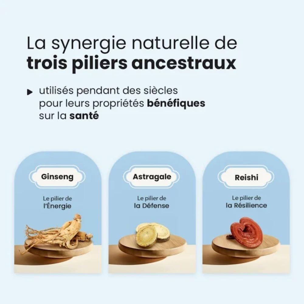 Formule Anti-Fatigue Naturelle | Énergie & Vitalité | Ginseng, Reishi & Astragale | Soutien Immunitaire & Résilience au Stress | Adaptogènes MTC | 100 Gélules | Fabriqué en France