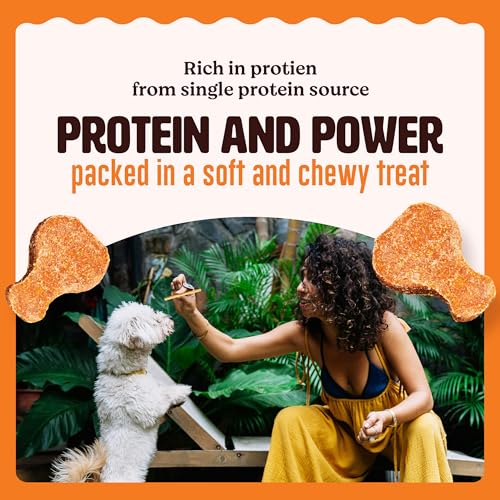 Image of Kennel Kitchen Soft Baked Calcium Chicken Nugget Treats for Dogs, 500g (Pack of 1) | Limited Ingredients | High in Calcium & Protein & Low in Fat | Easy to Chew for Stronger Bones and Teeth