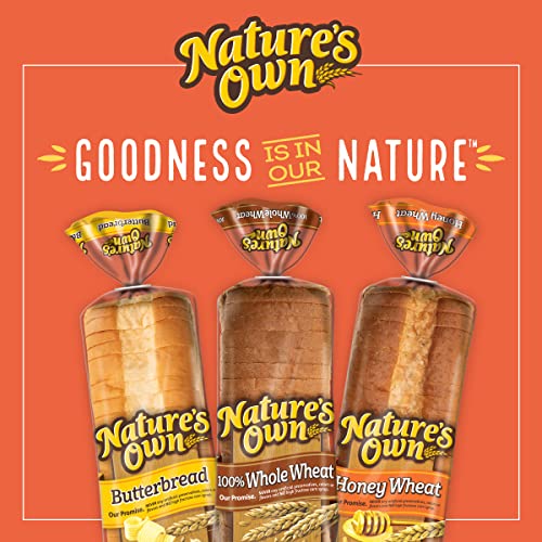 Natures Own Honey Wheat Bread Sliced Loaf - 20 Oz Bag #TOP6