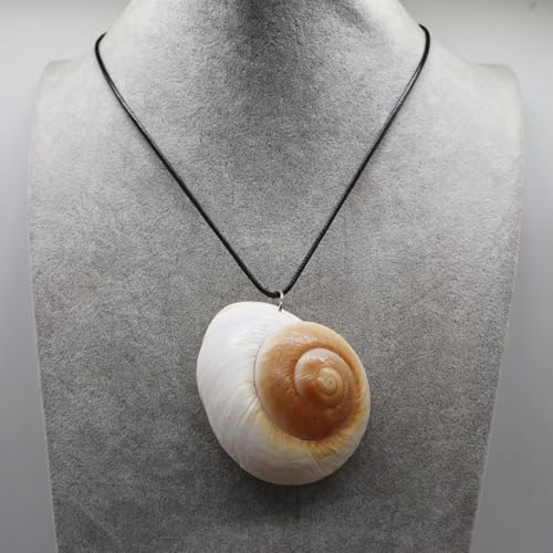 Really Shell Witch Costume Accessory - Adult Natural Big Conch Pendant Necklace - Fashion Beach Ocean Jewelry Gifts4