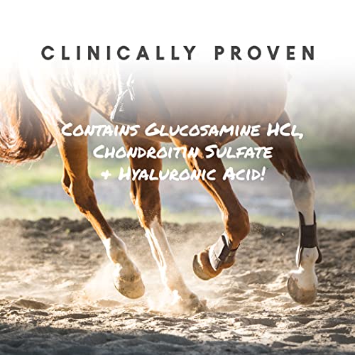 Manna Pro Rapid Flex | Fast Acting Joint Supplement For Horses | Clinically Proven Unique Patented Formula | 4 Pounds, White #TOP3