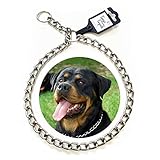  Tango and Tequila Collar metálico Perro adiestramiento Cadena 4 mm x 75 cm