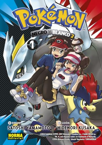 POKEMON 31. NEGRO Y BLANCO II 01