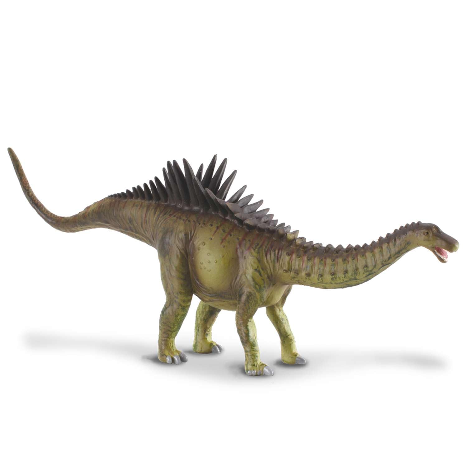 CollectA Agustinia Dinosaur Toy-picture-14