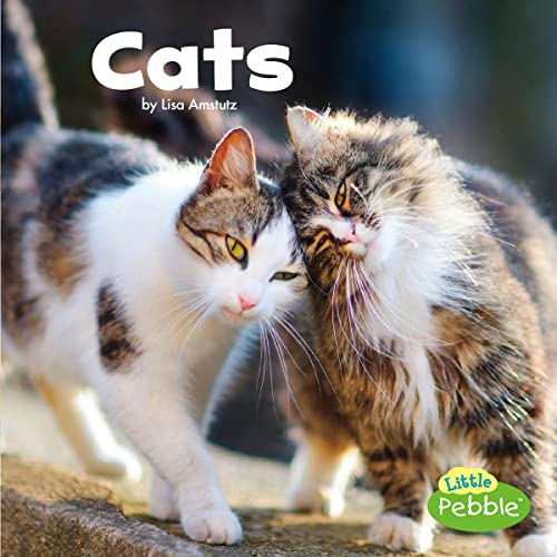 Cats by Lisa J. Amstutz episode artwork