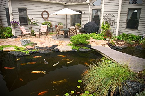 Image of Aquascape Cold Water Beneficial Bacteria for Pond and Water Features 32 oz. / 946ml, 98894