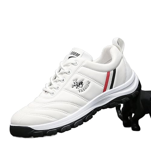 [Caividom] Xj[J[ ejXV[Y y ^C Y Xj[J[ fB[X X|[cV[Yi[XV[Y ~ jp 傫 lC₷ y ʋC ʊwC V[Y i[XV[Y