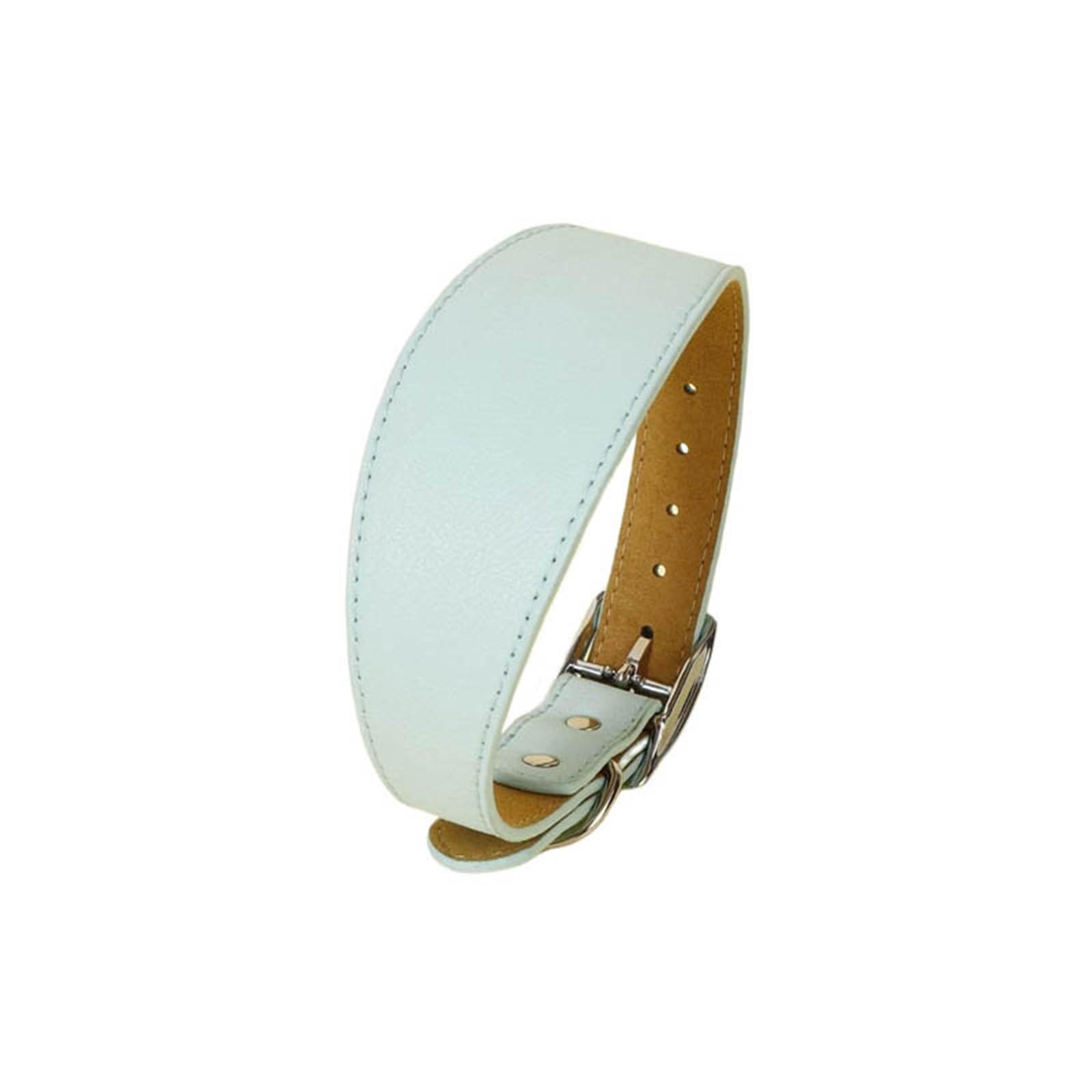 Wide Leather Dog Collar for Small Medium Large Dogs - Greyhound Deerhound Whippet Dachshund Pet Accessories(Sky blue,M)