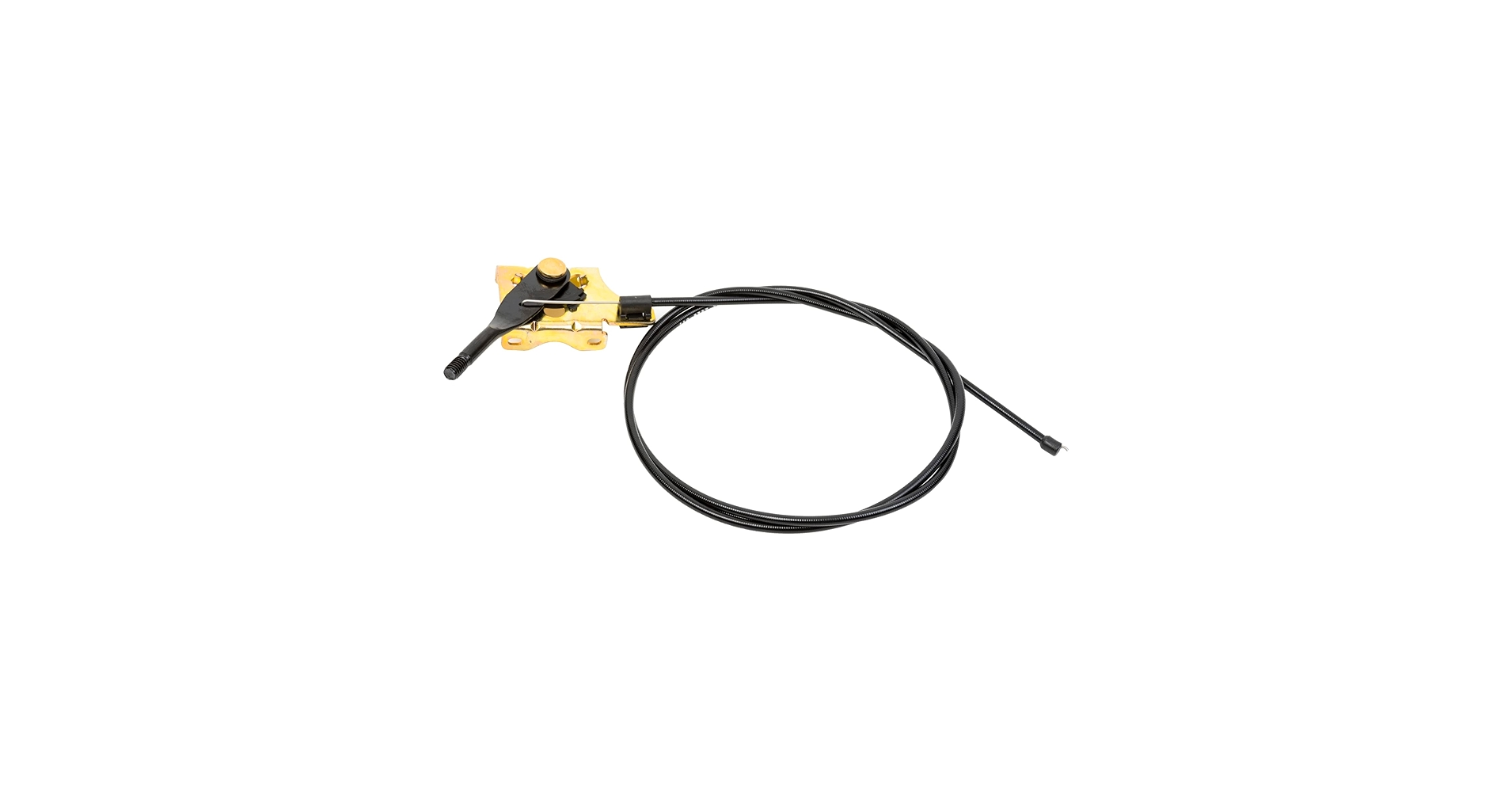 51VqpgHbuyL.jpg_BO30,255,255,