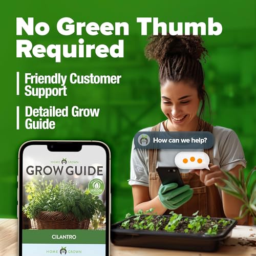 HOME GROWN Non GMO 500+ Cilantro Seeds for Planting Indoors or Outdoors - Heirloom Coriander Seeds, Grow Your Own Cilantro Plant - Culinary Herb Seeds for Your Herb Garden - Image 9
