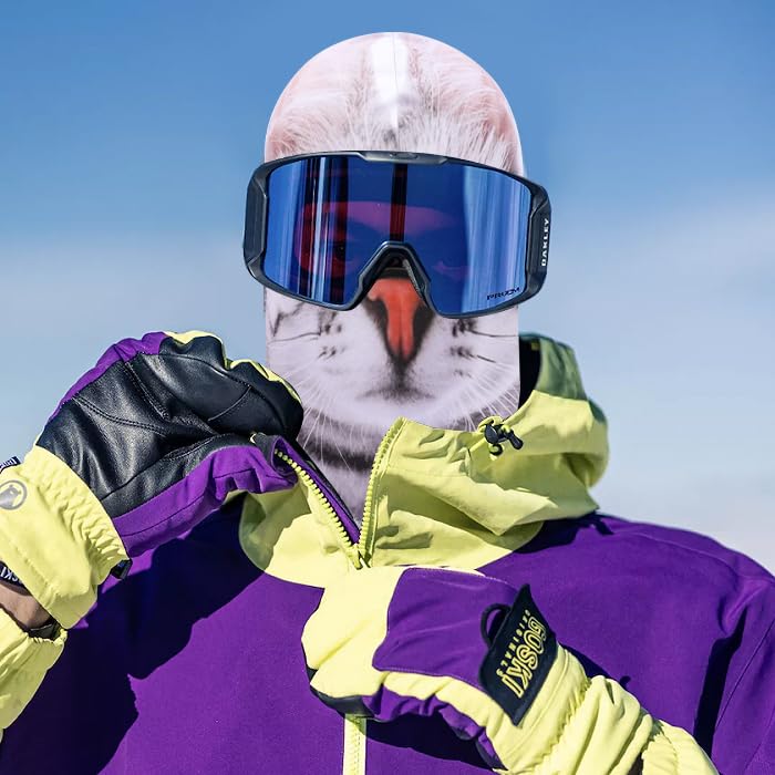Image of Balaclava Mask 3D Print Full Face Mask Cooling Neck Gaiter Sun Protection Face Cover Mask Windproof Ski Mask