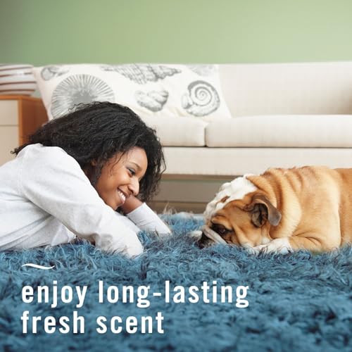 Image of Febreze Fabric Spray Air Freshener, Odor-Fighting Fabric Refresher, Sneaker Balls Alternative, Couch Cleaner, Linen Spray, Multi-Use, Pet Odor Fighter Scent, 23.6 fl oz (Pack of 2)