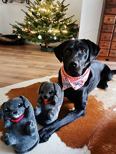corimori – Buddy der Labrador, Hunde Plüsch-Hausschuhe für Kinder und Erwachsene, EU Einheitsgröße 34 bis 44 (dunkelgrau)