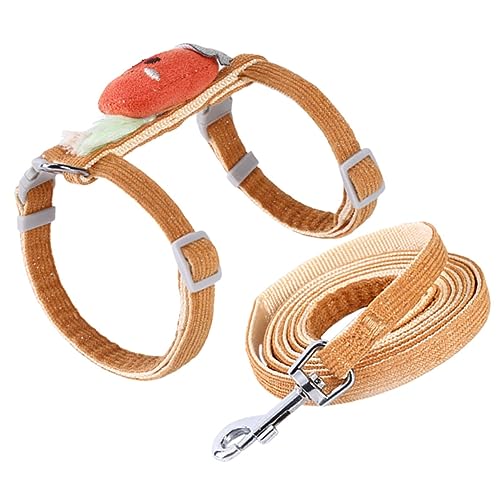 WOONEKY 1 Ensemble Laisse pour Ajustable pour Promenade Extérieur Accessoire Sécurisé